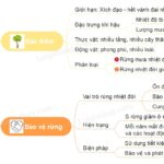 Rừng nhiệt đới xanh tươi