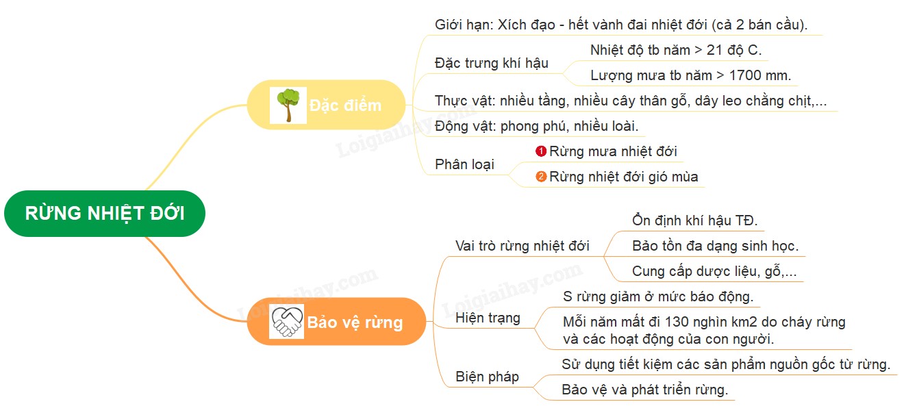 Rừng nhiệt đới xanh tươi