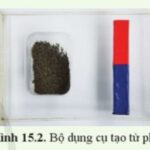 Mạt sắt cho thấy hình ảnh đường sức từ quanh nam châm chữ U