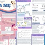 Poster hóa học về an toàn hóa chất