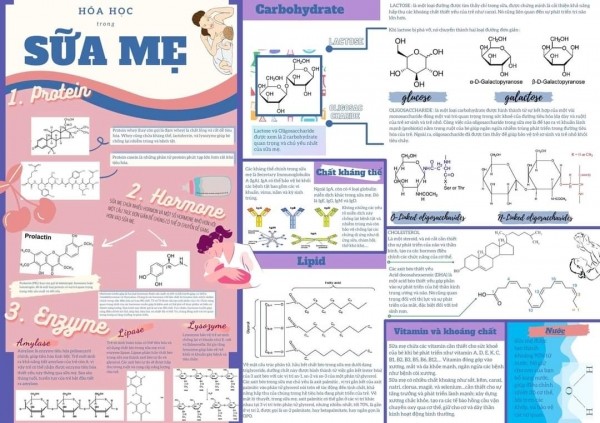 Poster hóa học về an toàn hóa chất