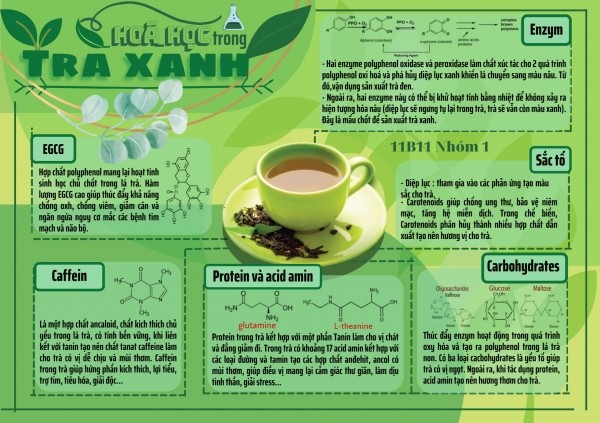 Poster hóa học về cấu trúc DNA