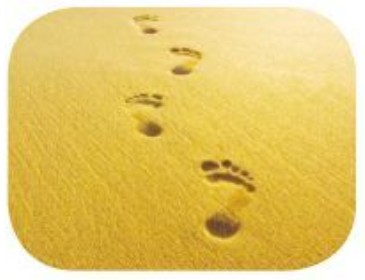 Kiểm tra ngoại thất xe tải cũ cẩn thận