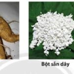 Dung môi hòa tan dầu ăn