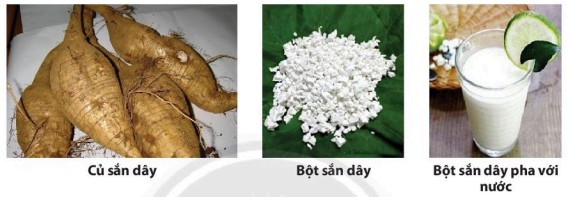 Dung môi hòa tan dầu ăn