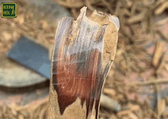 Giá gỗ hoàng đàn
