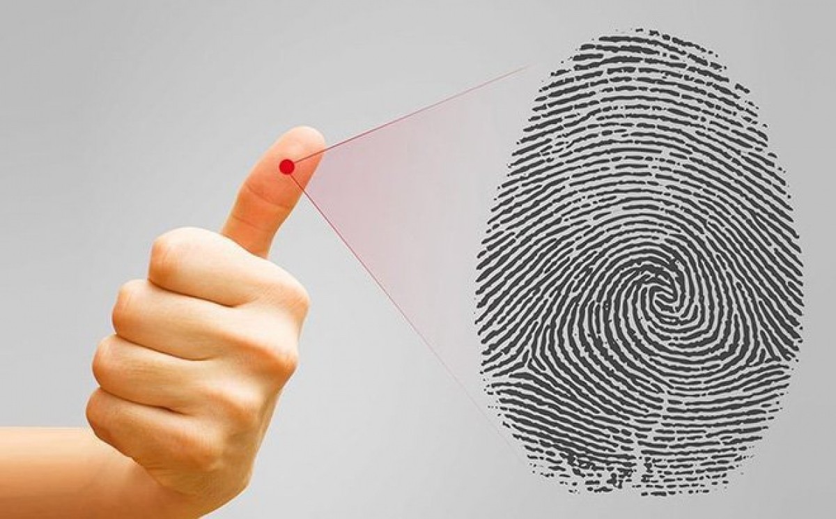 Sinh trắc vân tay là gì? Giá sinh trắc vân tay là bao nhiêu?