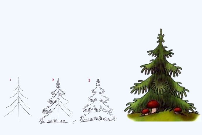 Vẽ cây thông Noel đẹp mắt với các kỹ thuật tạo bóng và chi tiết trang trí tỉ mỉ