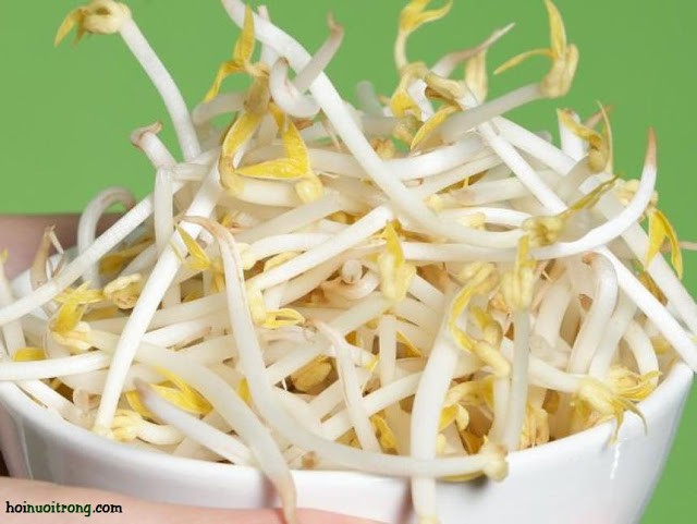 Một bát giá đỗ tươi ngon với hàm lượng dinh dưỡng cao