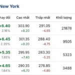 Giá cà phê Arabica trên sàn New York ngày 24/11/2024 duy trì ổn định