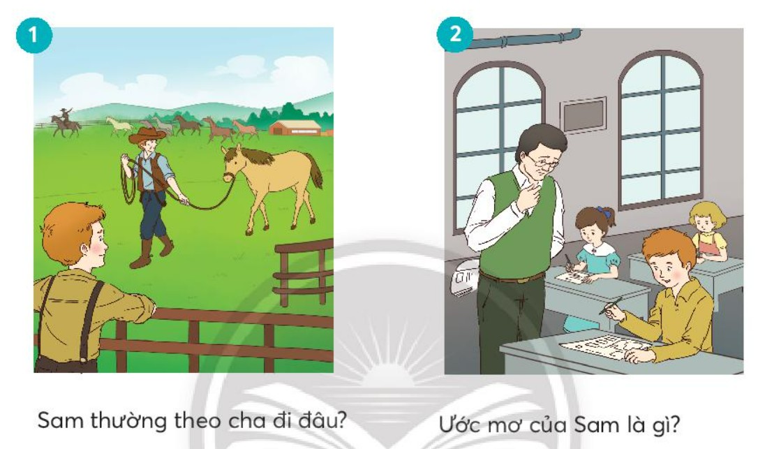 Sam và ước mơ trang trại ngựa