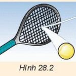 Hình ảnh minh họa công thức tính động lượng p=mv