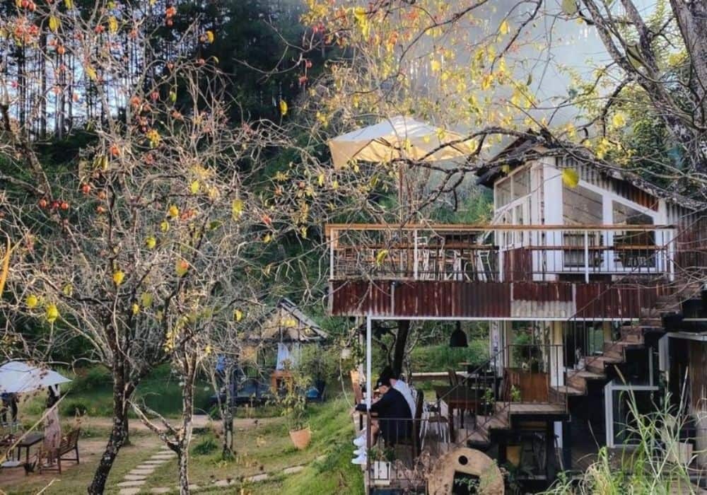 Gam màu chính của Đợi Một Người là màu nâu gỗ ấm cúng, cổ điển (ảnh: Sưu tầm Internet)