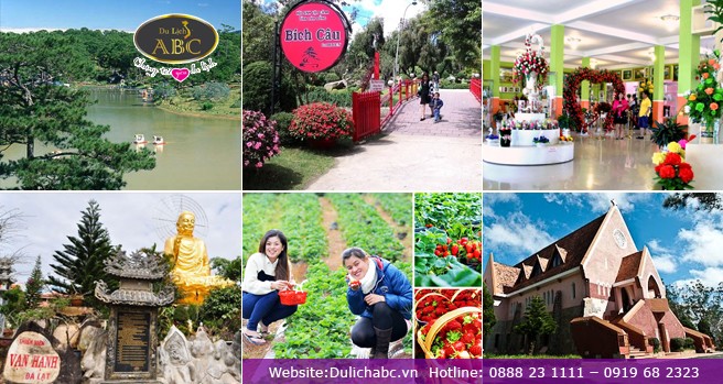 Vườn dâu tây Đà Lạt chín mọng