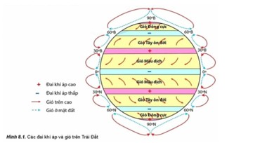 Các hệ thống tưới nhỏ giọt, tưới phun mưa và tưới ngầm giúp giảm thiểu lượng nước sử dụng và tăng hiệu quả tưới tiêu