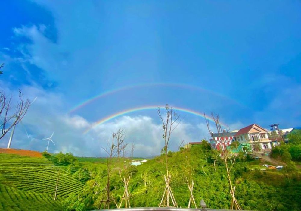 View của Rainbow Homestay nhìn ra đồi chè và quạt điện (ảnh: Sưu tầm Internet)