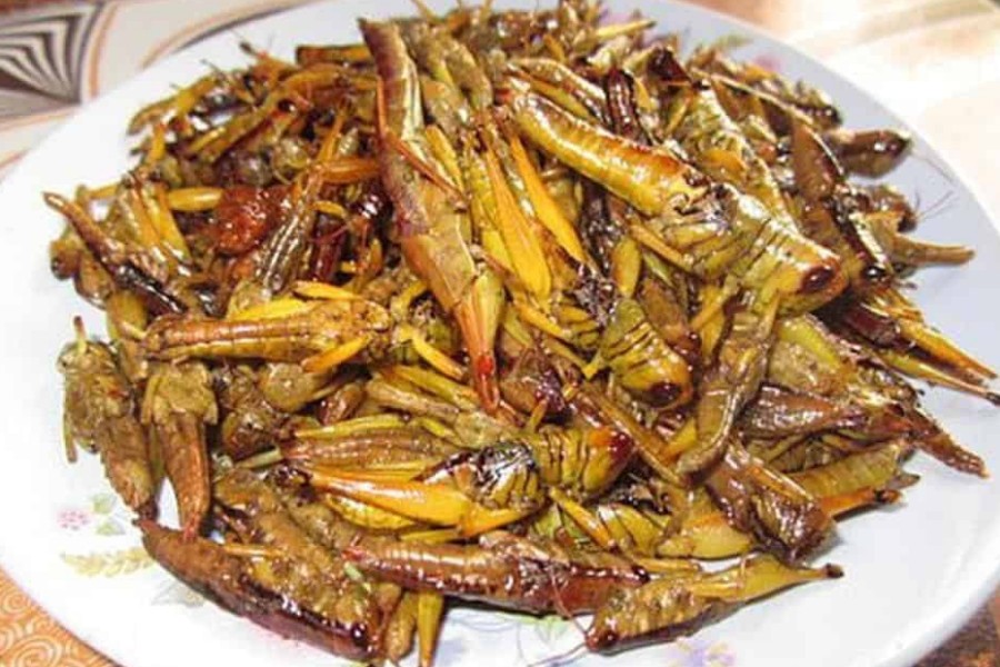 Xe Tải Mỹ Đình