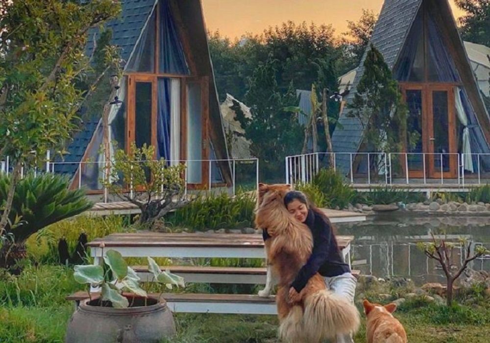 Homestay còn có thú cưng dành cho những bạn yêu động vật (ảnh: Sưu tầm Internet)