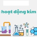 Dãy hoạt động hóa học của kim loại và các tính chất hóa học