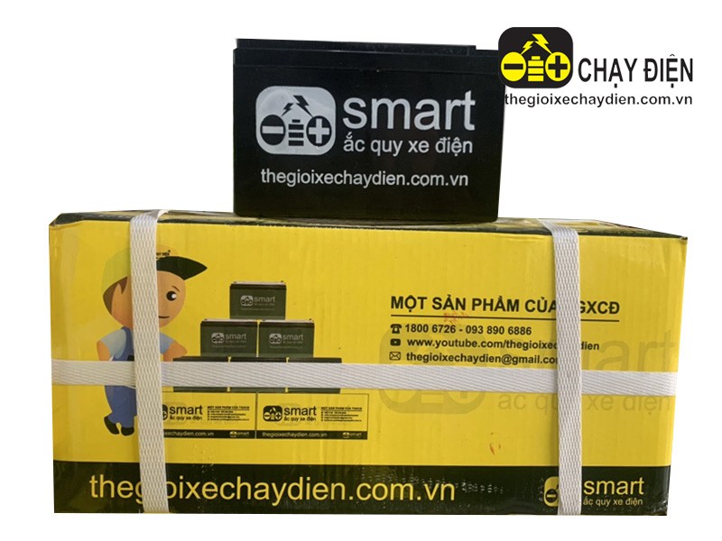 Bình ắc quy xe đạp điện Smart được sản xuất bởi Thế Giới Xe Chạy Điện