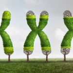 Sự thay đổi Telomere trong quá trình lão hóa