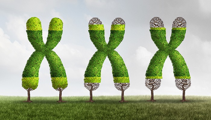 Sự thay đổi Telomere trong quá trình lão hóa