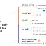 Phản ứng trung hòa giữa bazơ và axit tạo thành muối và nước