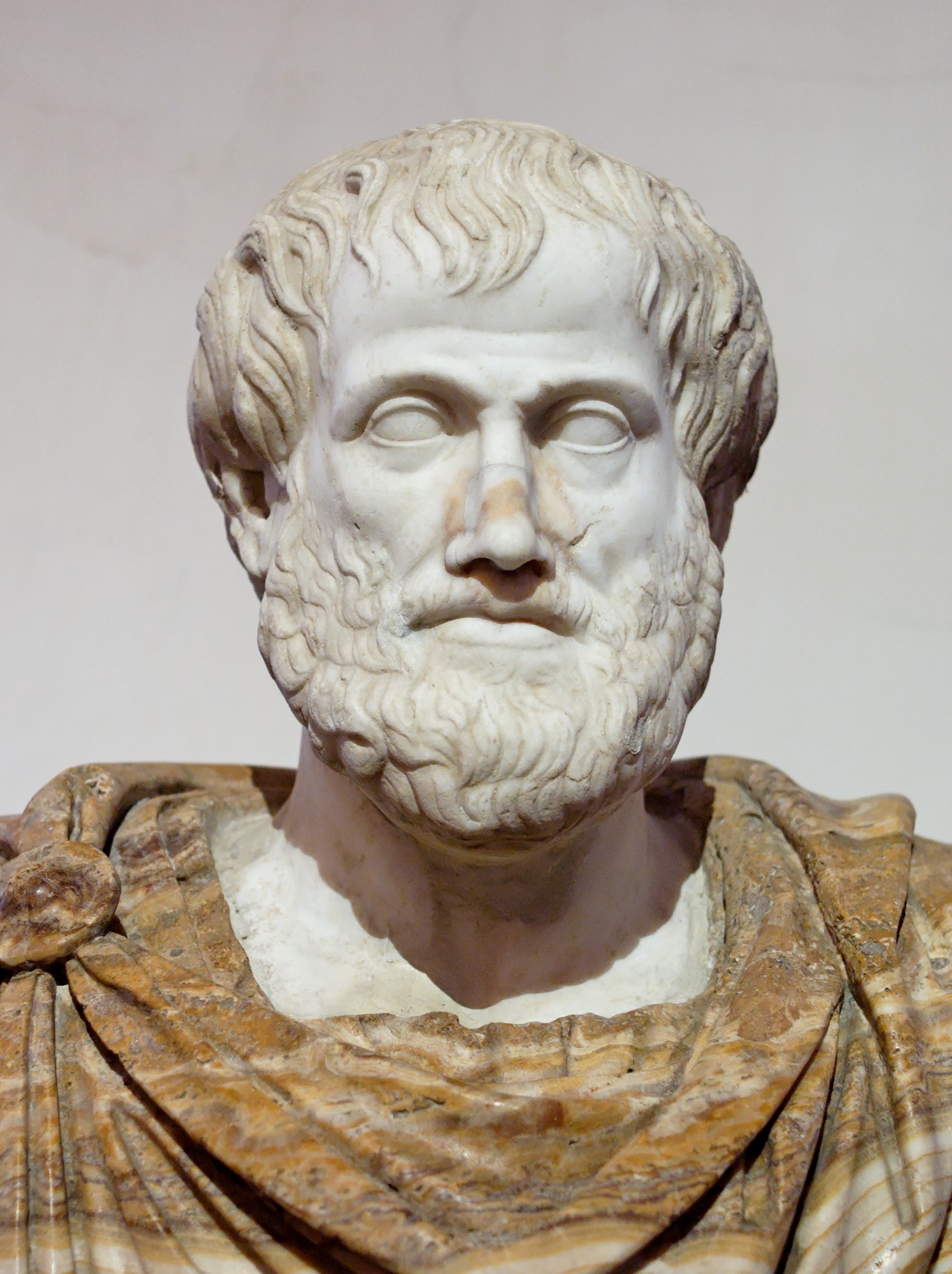 Aristotle được coi là cha đẻ của logic học với việc hệ thống hóa các quy tắc suy luận cơ bản