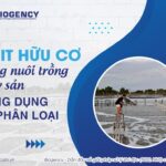 Axit Monocacboxylic trong nuôi trồng thủy sản