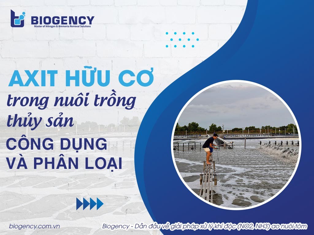 Axit Monocacboxylic trong nuôi trồng thủy sản