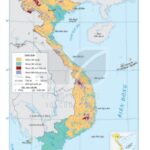 Đất Feralit chiếm diện tích lớn nhất Việt Nam