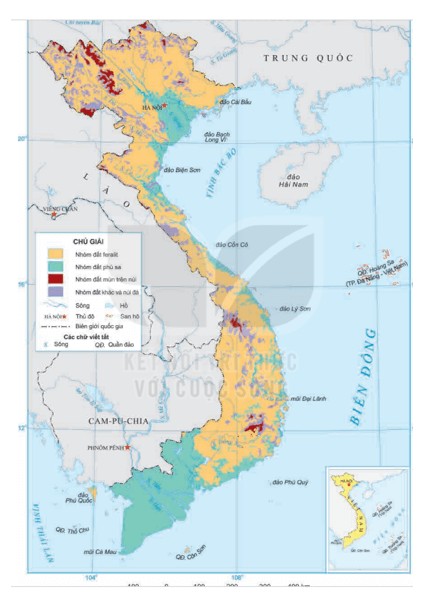 Đất Feralit chiếm diện tích lớn nhất Việt Nam