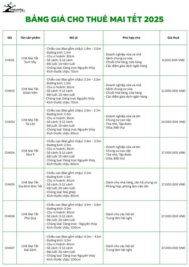 Bảng giá cho thuê mai Tết 2025