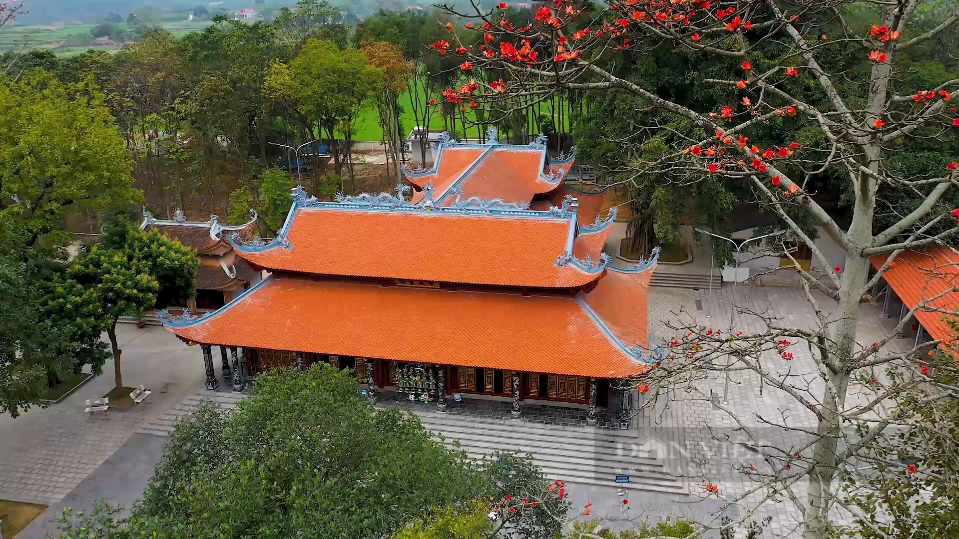 Lễ hội Đền Đông Cuông (Văn Yên, Yên Bái) vì sao lại mổ trâu trắng vào 00 giờ sáng - ảnh 3.