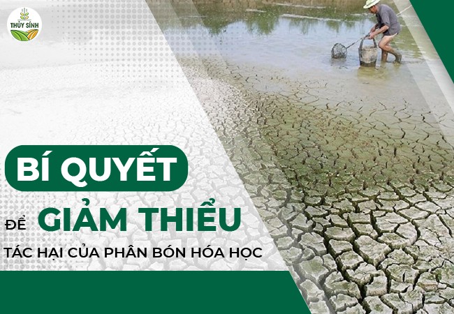Bí quyết giảm thiểu tác hại của phân bón hóa học