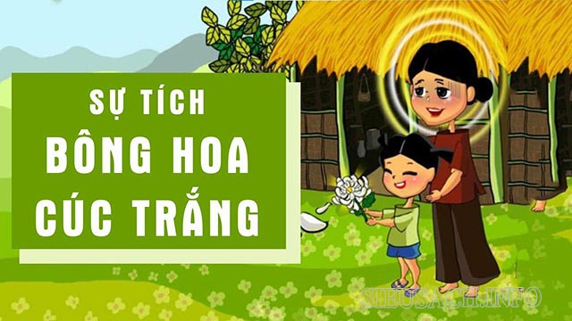 Hình ảnh minh họa sự tích bông hoa cúc trắng với lòng hiếu thảo được thể hiện rõ nét