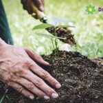 Bảo quản phân hữu cơ đúng cách giúp giữ gìn chất lượng phân bón