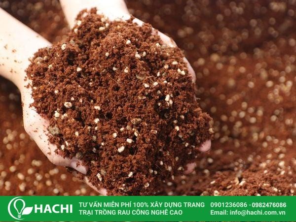 Sử dụng giá thể xơ dừa để trồng rau và hoa tại nhà, giúp cây phát triển khỏe mạnh và cho năng suất cao