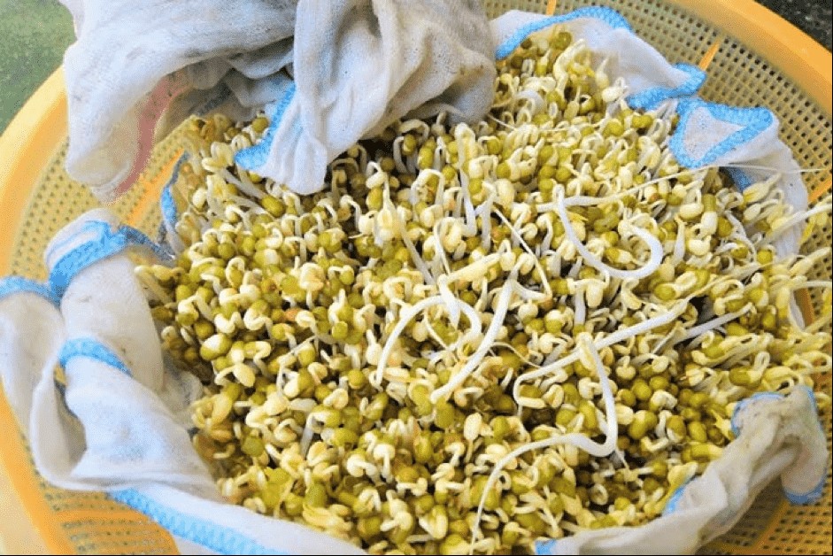 Sơ chế đậu xanh để ngâm giá đỗ tại nhà