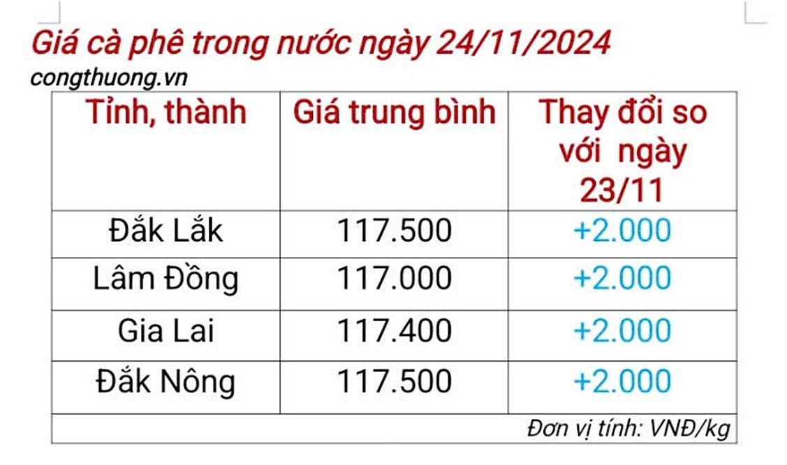Giá cà phê trong nước ngày 24/11/2024 tiếp tục tăng mạnh