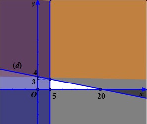 Một công ty kinh doanh chuẩn bị cho một đợt khuyến mại nhằm thu hút khách (ảnh 2)