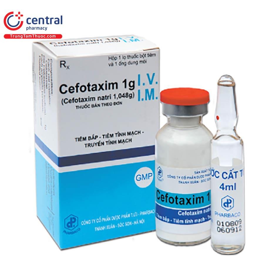 Cefotaxim 1g dạng bột pha tiêm
