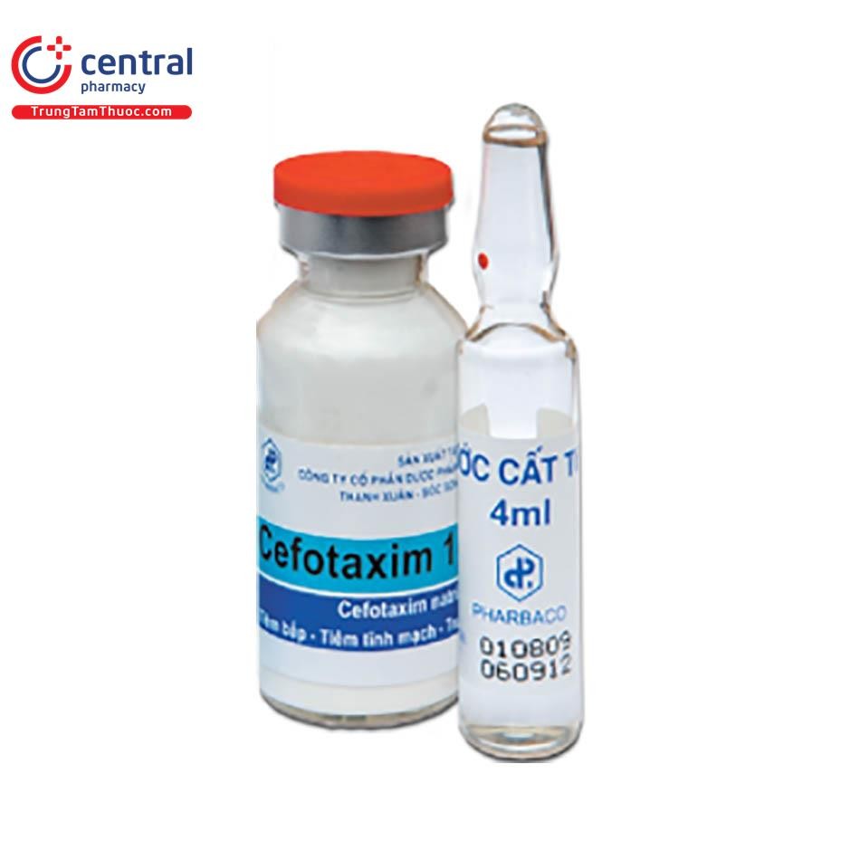 Hình ảnh Cefotaxim 1g