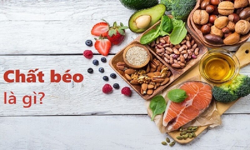Cấu trúc hóa học của chất béo