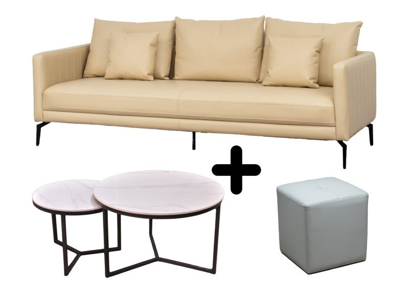 Sofa BÄƒng Gá»n GÃ ng Cho PhÃ²ng KhÃ¡ch Elegant Enclave E003