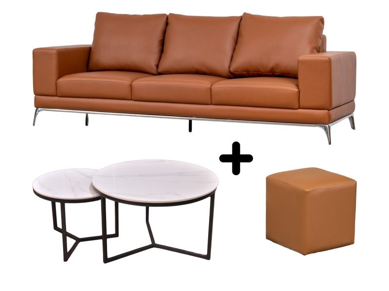 Bá»™ Sofa BÄƒng Tiá»‡n Lá»£i Cho PhÃ²ng KhÃ¡ch Elegant Enclave E004