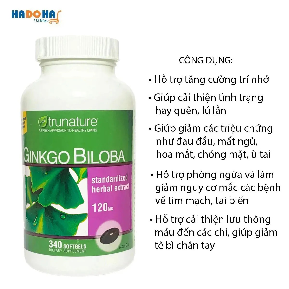 Ginkgo Biloba hỗ trợ tăng cường lưu thông máu, cải thiện trí nhớ