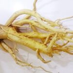 Củ Đinh Lăng Tươi Nguồn Gốc