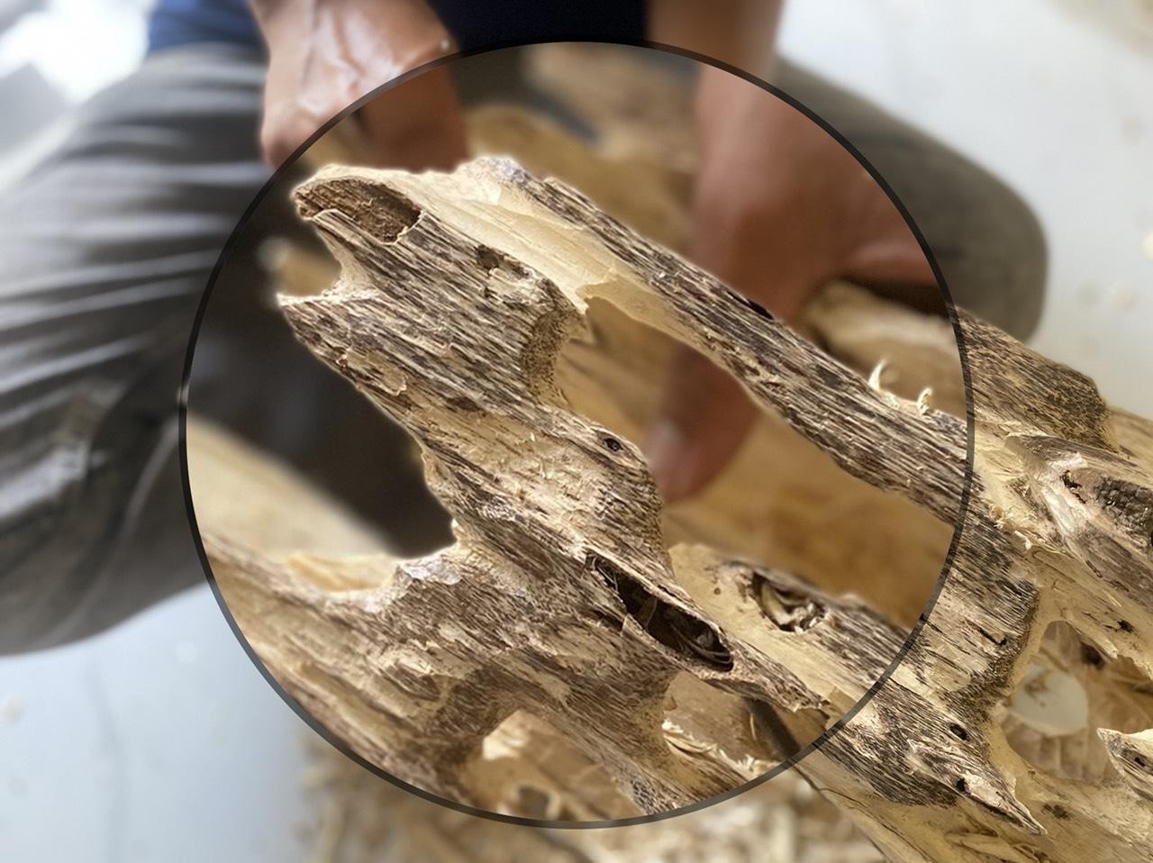 Cung Cáº¥p Tráº§m HÆ°Æ¡ng Miáº¿ng Táº¡i Tphcm