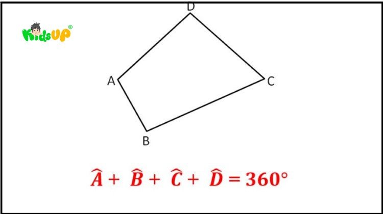 Hình tứ giác và các yếu tố cơ bản